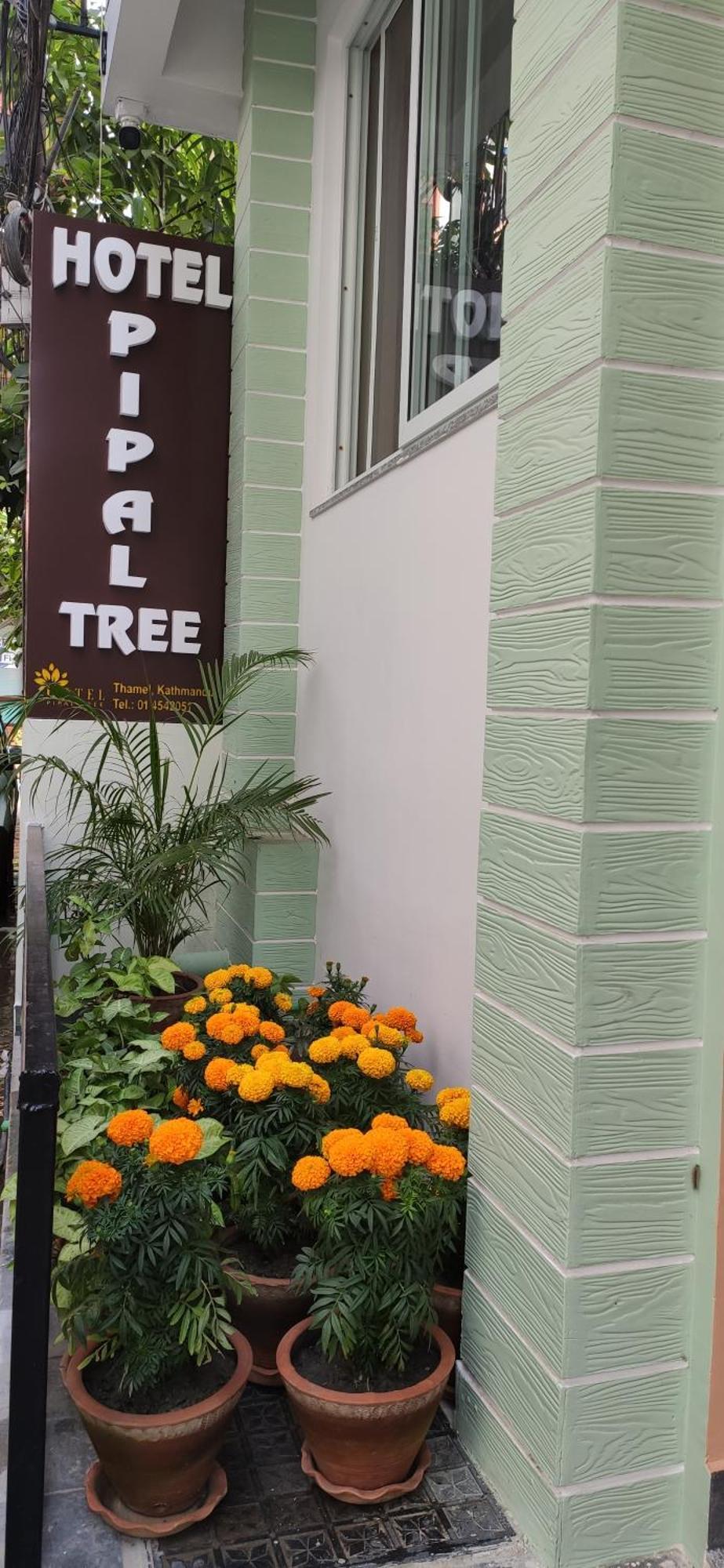 Hotel Pipal Tree Kathmandu Esterno foto
